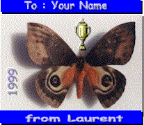 Butterfly Award from Laurent - Amateur entomologist
